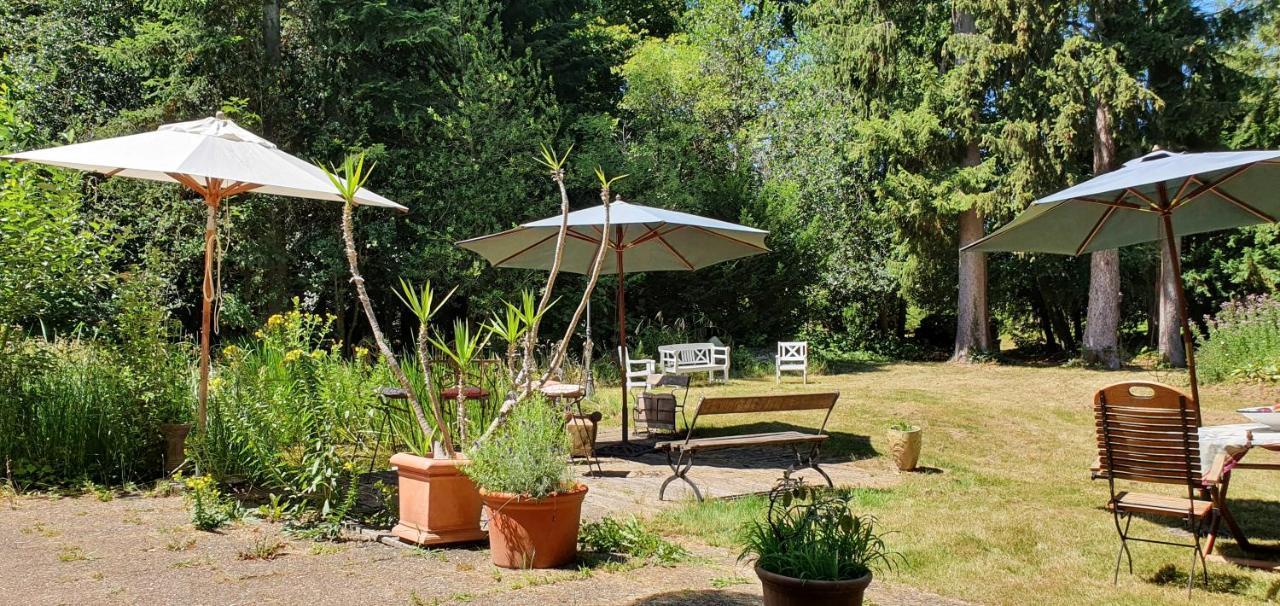Maisonmazerand Cirey-sur-Vezouze Luaran gambar