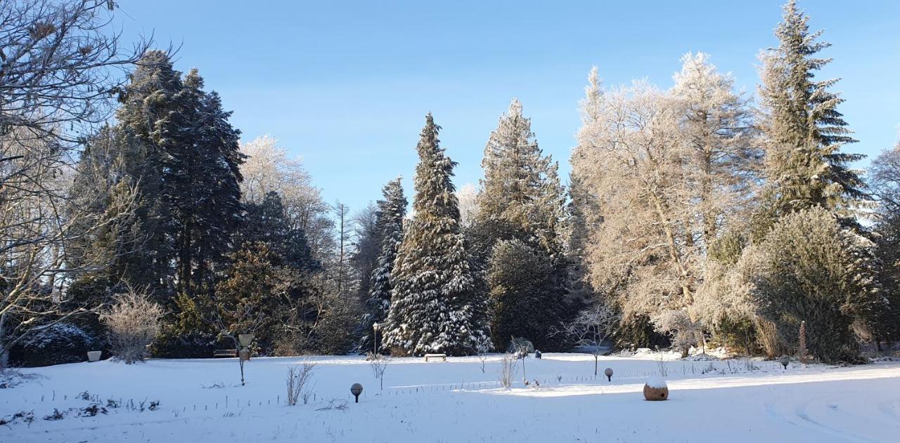Maisonmazerand Cirey-sur-Vezouze Luaran gambar