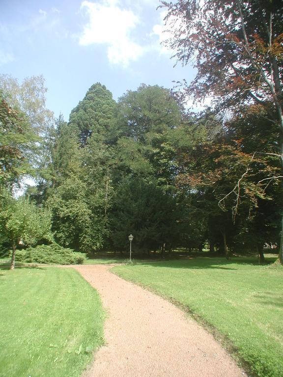 Maisonmazerand Cirey-sur-Vezouze Luaran gambar