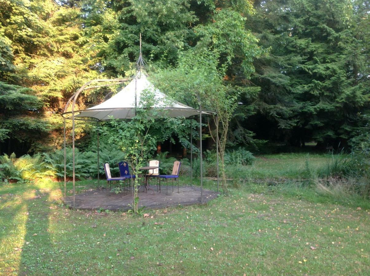 Maisonmazerand Cirey-sur-Vezouze Luaran gambar
